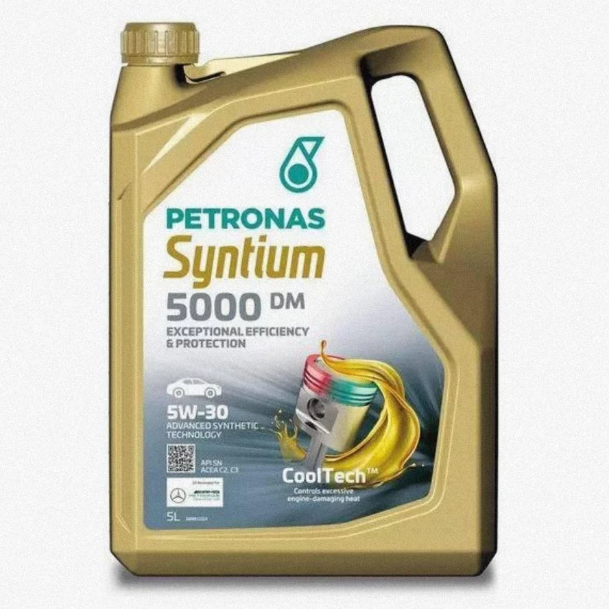 SYNTIUM 5000 DM 5W-30 Канистра 5 литров
